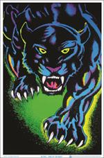 King of the Night Black Cat Blacklight Poster Image